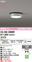 ODELIC ǥå ƥꥢ饤 OG264299WR