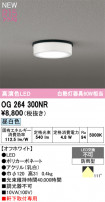 ODELIC ǥå ƥꥢ饤 OG264300NR