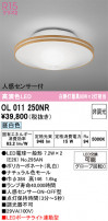 ODELIC ǥå 󥰥饤 OL011250NR
