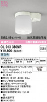 ODELIC ǥå 󥰥饤 OL013380NR