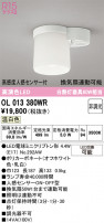 ODELIC ǥå 󥰥饤 OL013380WR
