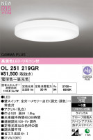 ODELIC ǥå 󥰥饤 OL251219GR