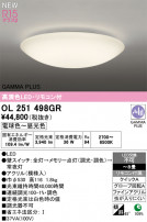 ODELIC ǥå 󥰥饤 OL251498GR