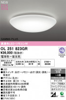 ODELIC ǥå 󥰥饤 OL251823GR