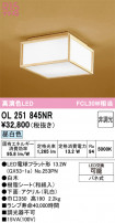ODELIC ǥå 󥰥饤 OL251845NR