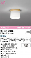ODELIC ǥå 󥰥饤 OL291268NR