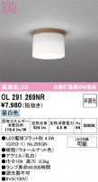 ODELIC ǥå 󥰥饤 OL291269NR