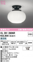 ODELIC ǥå 󥰥饤 OL291280NR