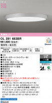 ODELIC ǥå 󥰥饤 OL291683BR