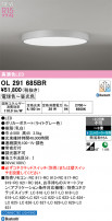ODELIC ǥå 󥰥饤 OL291685BR