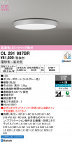 ODELIC ǥå 󥰥饤 OL291687BR
