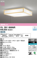 ODELIC ǥå 󥰥饤 OL291699NR