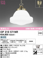 ODELIC ǥå ڥȥ饤 OP210571NR