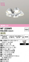 ODELIC ǥå 󥰥ե WF229WR