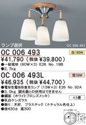 ǥꥢ ODELIC ǥå OC006493