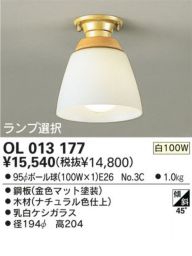  ODELIC ǥå OL013177