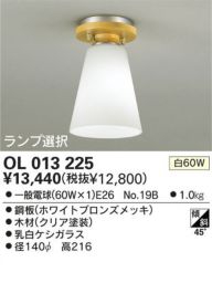  ODELIC ǥå OL013225