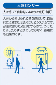 DAIKO ŵ ʹ󥵡LEDȥɥץ DECOLEDS(LED) DWP-37716 