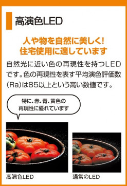 ODELIC ǥå LEDⵤ̩SB饤 OD261302