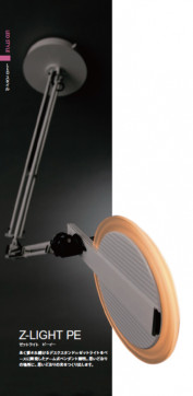 ľ ڥ Z-LIGHT PE PD-2611