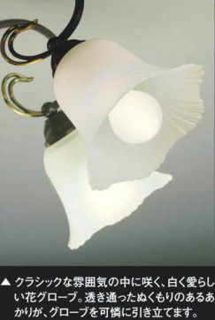 ߾ KOIZUMI ֥饱å ABN646071 ħ̿