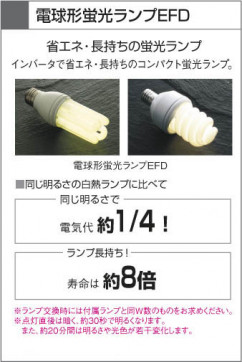 KOIZUMI ADN650682 ̿4