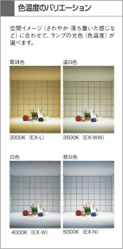 KOIZUMI ADN950871 ̿6