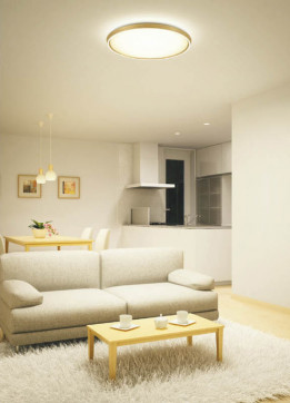 ߾ KOIZUMI LED AH37384L ܹ̿