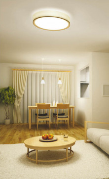 ߾ KOIZUMI LED AH37476L ܹ̿