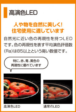ODELIC LED OX9081LDR ̿2