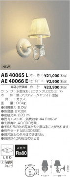 ߾ KOIZUMI  AE40066E β