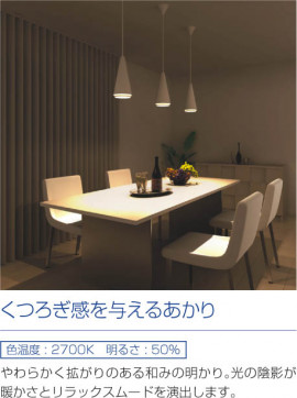 ߾ KOIZUMI ڥ LED AP40561L 