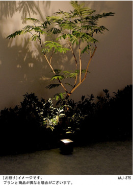 Panasonic LED ƥꥢȥɥ XLGE734Z ̿1