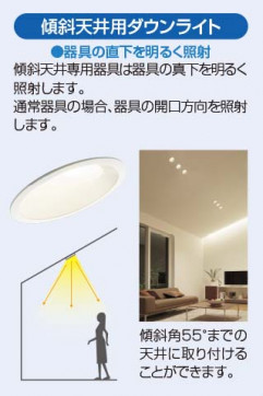 DAIKO ŵ LED 饤() DDL-5029YW