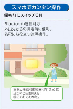 DAIKO ŵ LED Ĵݥåȥ饤 DSL-4728FW