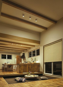 ܹDAIKO ŵ LED  DCL-5212AW