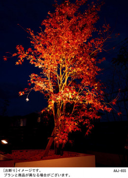 Panasonic ƥꥢ LGW40074LE1 ̿3