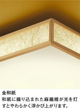 ͼ̿ | DAIKO ŵ Ĵ DCL-39399