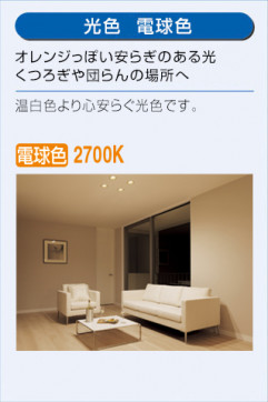  | DAIKO ŵ  DCL-5337YW