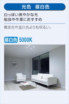  | DAIKO ŵ 饤() DDL-5007WW