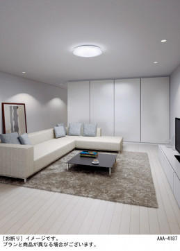 Panasonic LED 󥰥饤 LSEB1130 ̿1