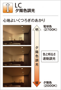 ODELIC ǥå 饤 OD361076 ̿1