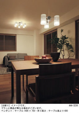 Panasonic ǥꥢ LGB19363K ̿1