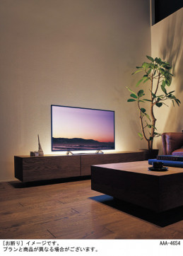 Panasonic  SF061B ̿3