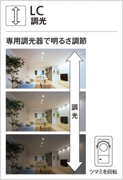 ODELIC ǥå 饤 OD361262 ̿1