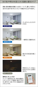  | DAIKO ŵ Ĵ DCL-38548 | ̿䡦ƥꥢΡڥ饤ȥ