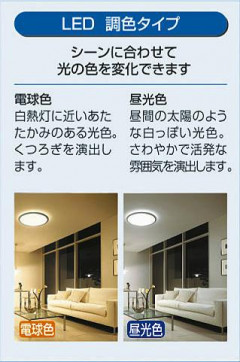  | DAIKO ŵ Ĵ DCL-38548 | ̿䡦ƥꥢΡڥ饤ȥ