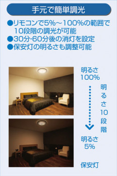  | DAIKO ŵ  DCL-40894A | ̿䡦ƥꥢΡڥ饤ȥ