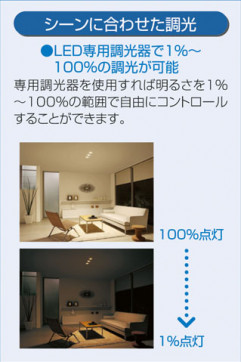  | DAIKO ŵ 饤() DDL-5001WBG | ̿䡦ƥꥢΡڥ饤ȥ