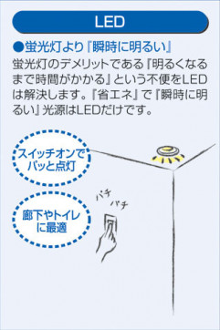  | DAIKO ŵ 饤() DDL-5001WBG | ̿䡦ƥꥢΡڥ饤ȥ